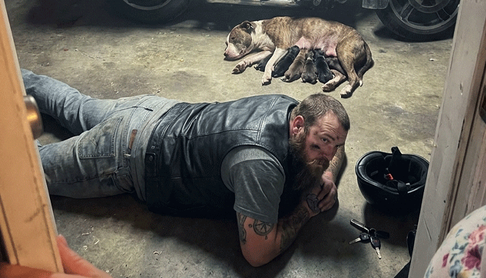 Biker Spends 4 Hours on Garage Floor as Stray Dog Gives Birth Under His Harley