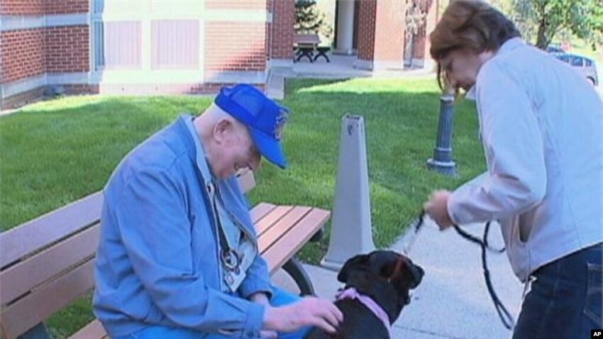 Pets Can Help Patients