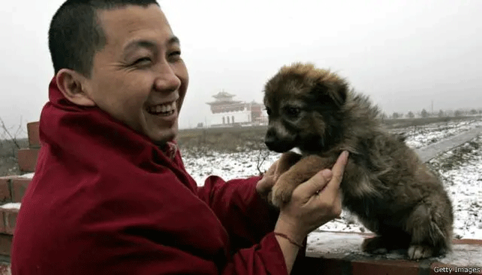 “The Origin of Dogs Lies in Central Asia”