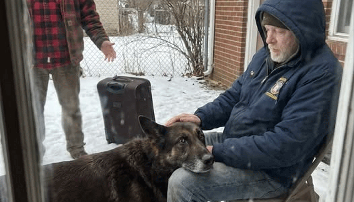 The Dog Who Refused to Forget: A Family Secret Unravels