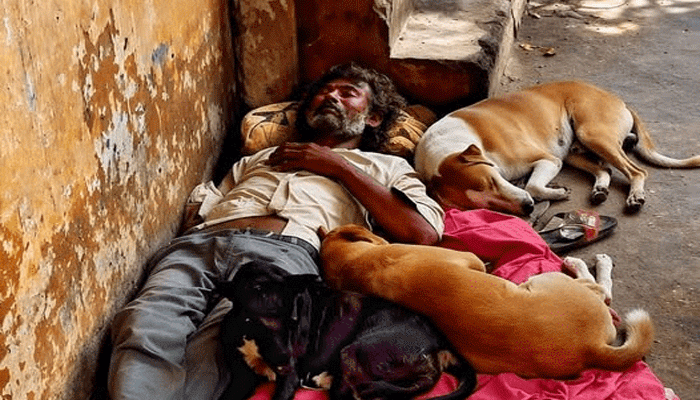 A Homeless Man, A Circle of Dogs, and a Story of Unbreakable Trust
