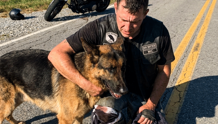 Biker Risks His Life at 55 MPH to Save Dying German Shepherd — His 911 Call Leaves Dispatcher Speechless