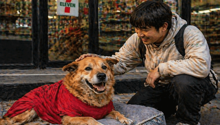 A Story of Love and Loss: The Dog Who Didn’t Know His Owner Was Gone