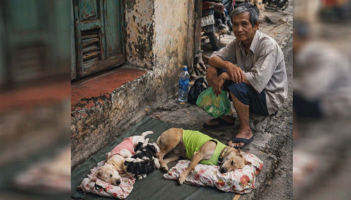 Homeless Man Creates Night Shelter for Stray Dogs on City Sidewalk