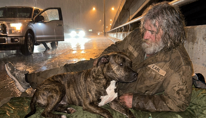 She Wasn’t Escaping the Fence — She Was Answering a Call in the Storm