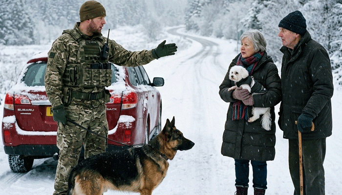 Blizzard Night Rescue: Ex-SEAL Saves Elderly Couple and Puppy