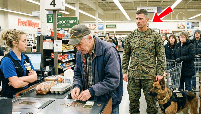 A Marine’s Dog Froze in Line — What He Noticed Saved a Veteran’s Life