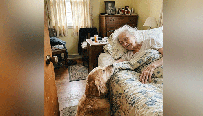 As Memory Fades, One Thing Remains — A Dog Named Buddy Becomes Her Final Anchor