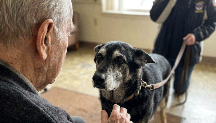 The Old Man Hadn’t Spoken in 3 Years — Then a Rescue Dog Changed Everything