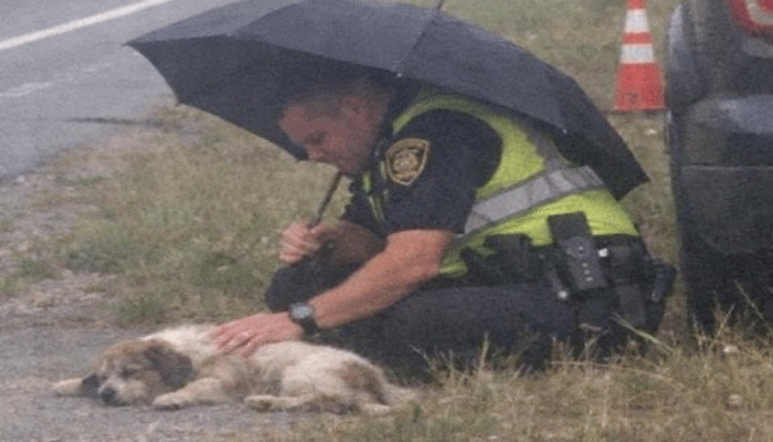 I Thought He Was Waiting to Catch Speeders—But What This Trooper Did Next Left Me Speechless