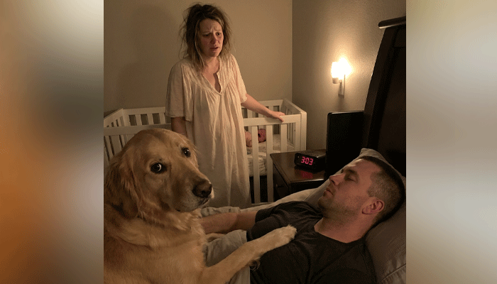 A Deaf Veteran, a Crying Baby, and a Dog Who Heard What Love Couldn’t