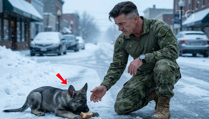 The Winter That Took Everything—and the Man Who Refused to Let Go