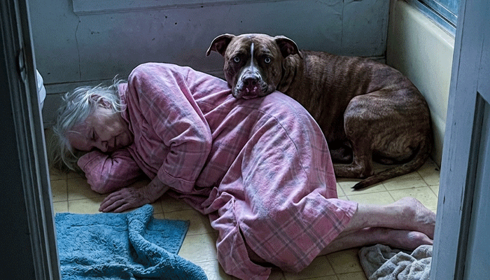 Stray Pit Bull Saves 91-Year-Old Woman — Family Later Discovers Chilling Bloodline Connection