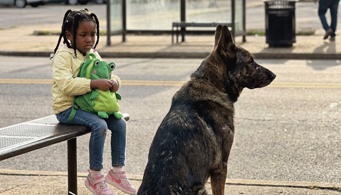 A Child Was Left Alone for 5 Hours… But One Dog Made Sure She Was Never Unprotected