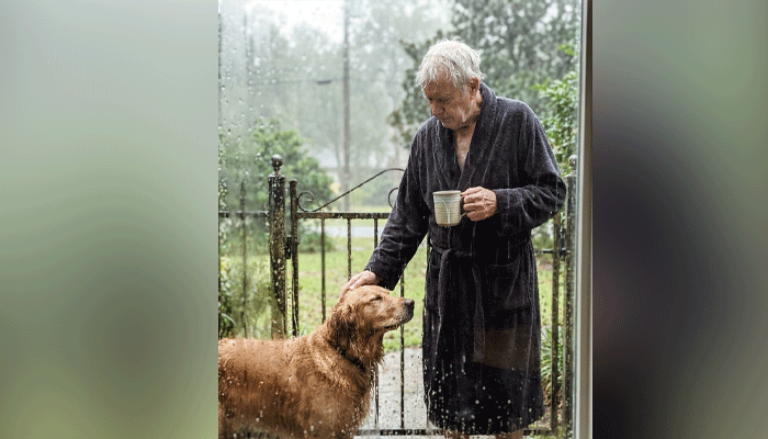 Every Morning at 7:15 — A Man Calls His Late Wife’s Name, and a Dog Answers