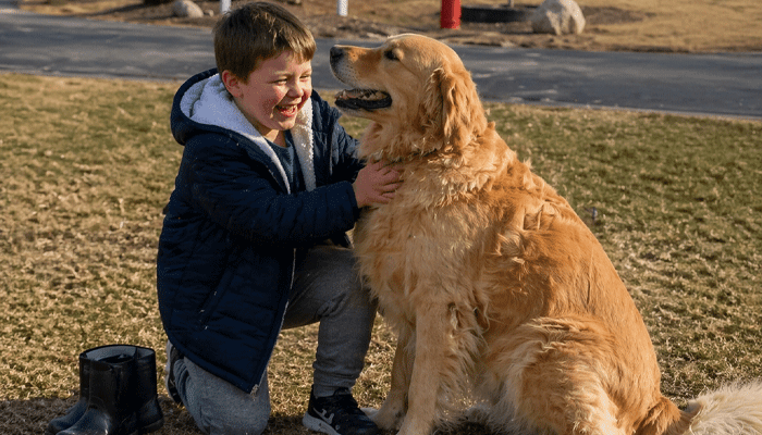 A Story of Pure Love: Dog Waits Patiently as Boy With Memory Loss Re-discovers Him Every Single Day