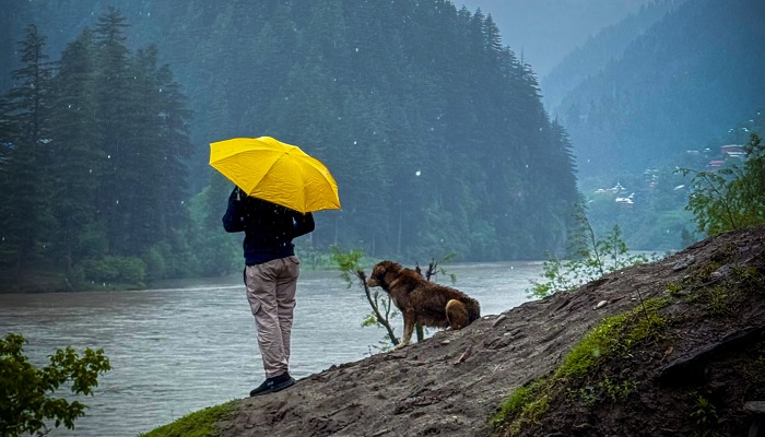 Loyal Dog Loses Life While Trying to Save Owner From Drowning in River Tragedy