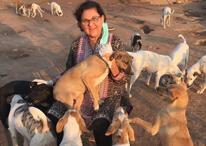 The Story of the Woman Who Fed Stray Dogs Every Day