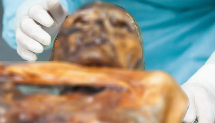 5,300-Year-Old Mummy Reveals Ancient Microbes Still Active, Study Finds